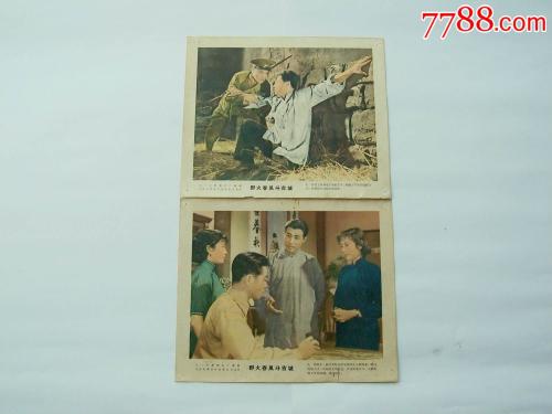 特莱特大学公共管理文凭证书